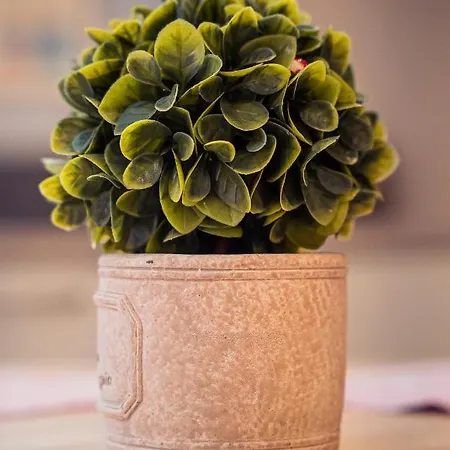 Cityscape Luxury Filibe