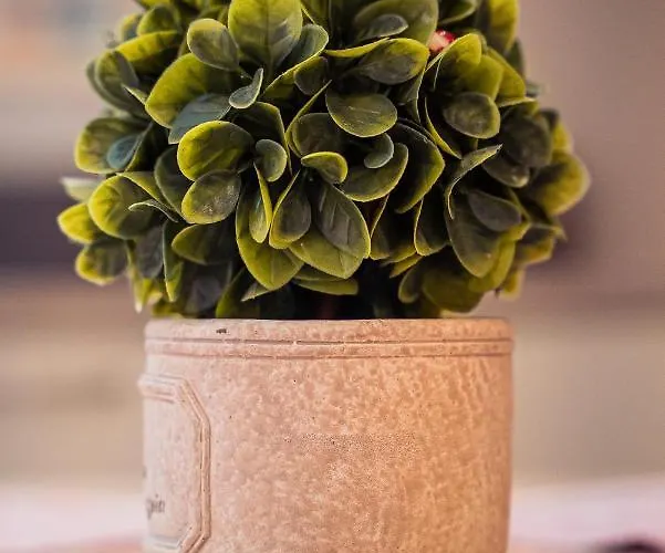 Cityscape Luxury Plovdiv